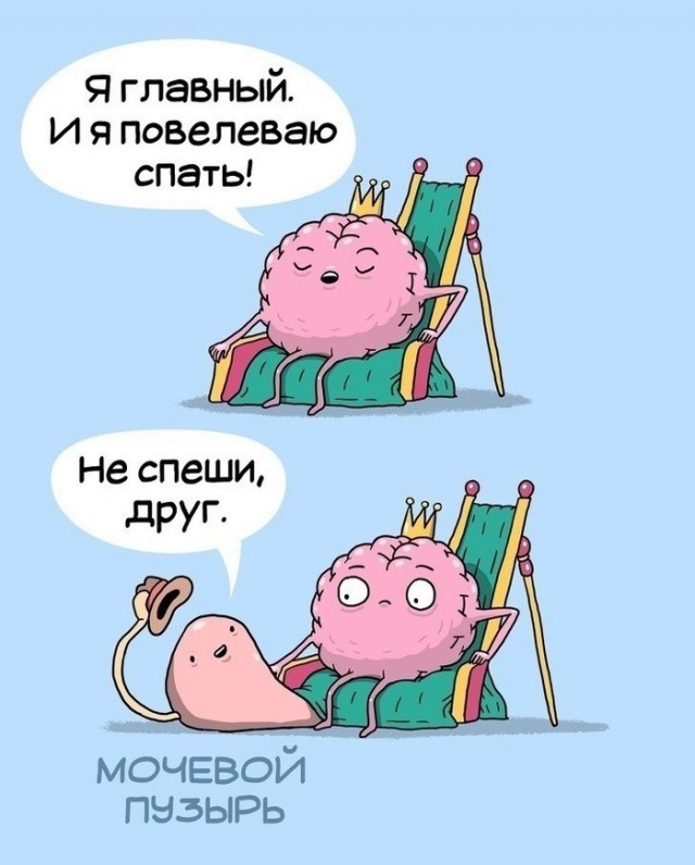 Спокойной ночи