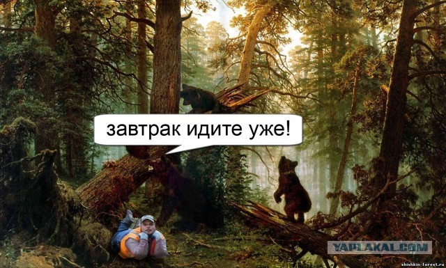 Мужчина установил фотоловушку в лесу. И вот он поймал там кадр, принесший ему популярность — но это не фото животного.
