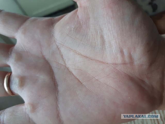 Исследую Хиромантию  (Часть 3)