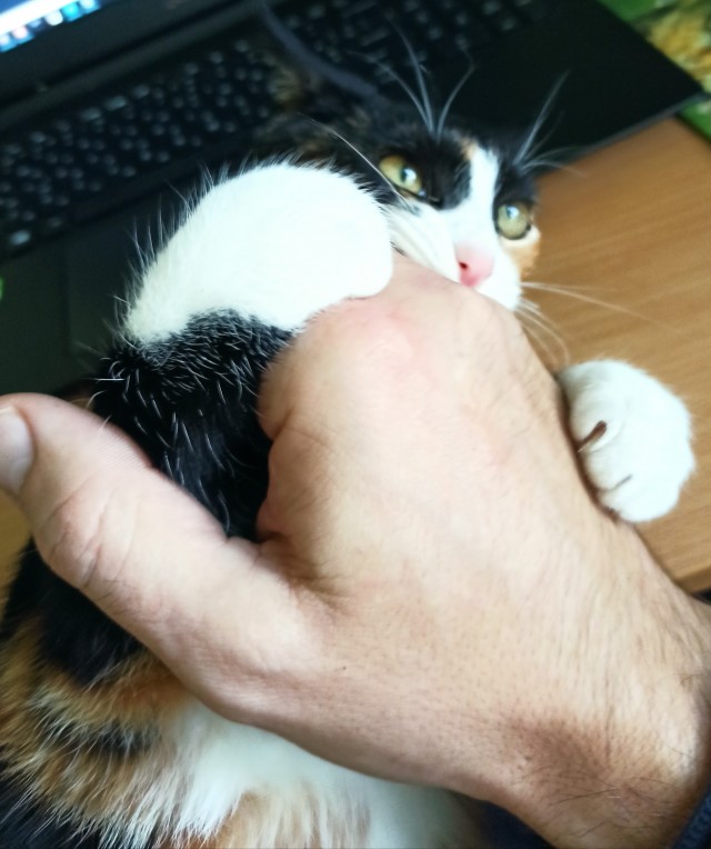 15 плюсов холостяцкой жизни!