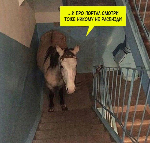 Эй вы, давно не деградировали?!