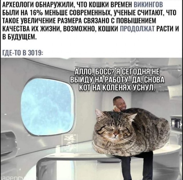 Картинки с надписями и всякие жизненные фразы
