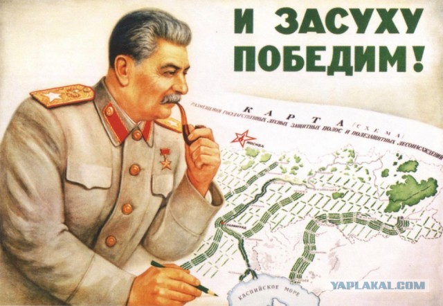 Сталинский план преобразования природы. Что вы об этом знаете?