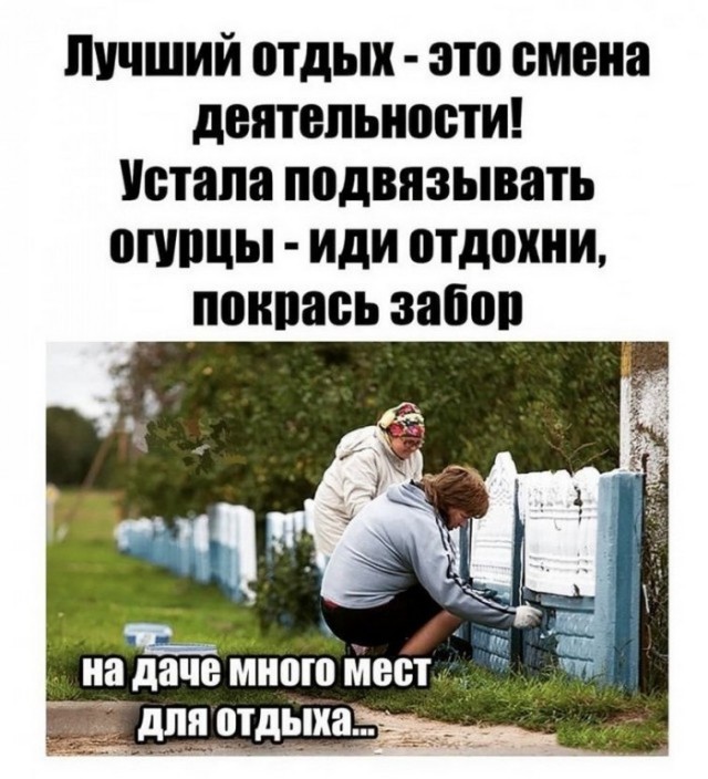 Картинки и мемы для настроения 29.06.2021