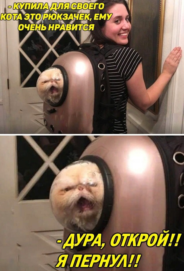 Здравый смысл в тиктоке