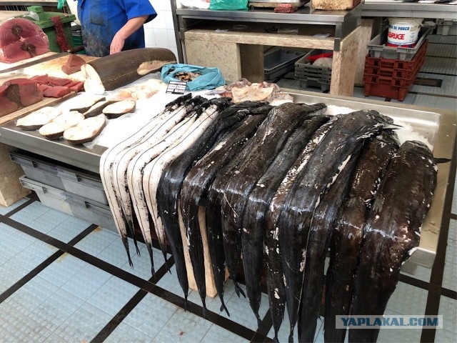 Кулинарная общалка