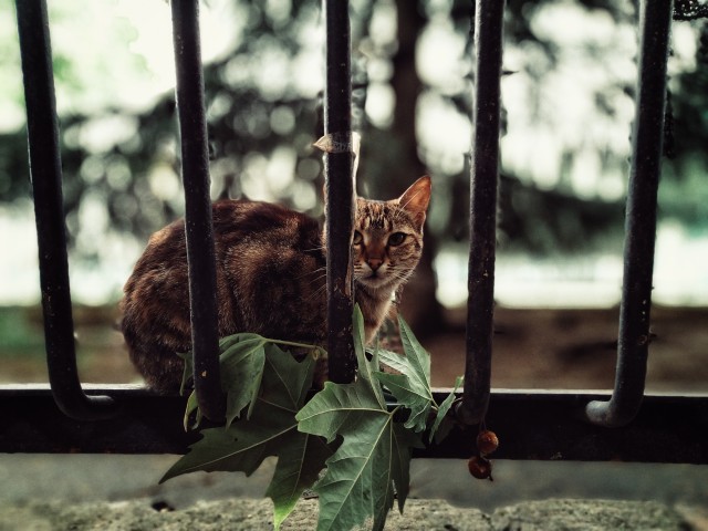 Моя мобильная фотография