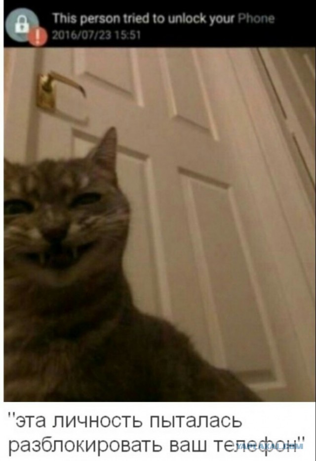 Никогда не зли доброго