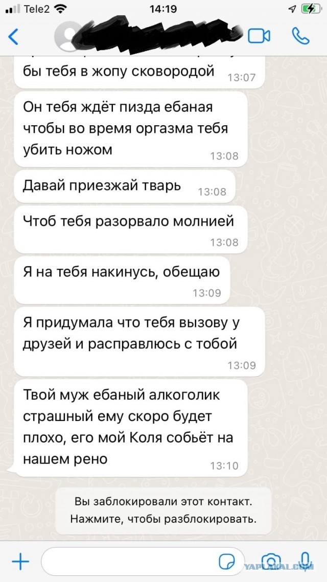 Обострение по осени (трудные будни ветеринара)
