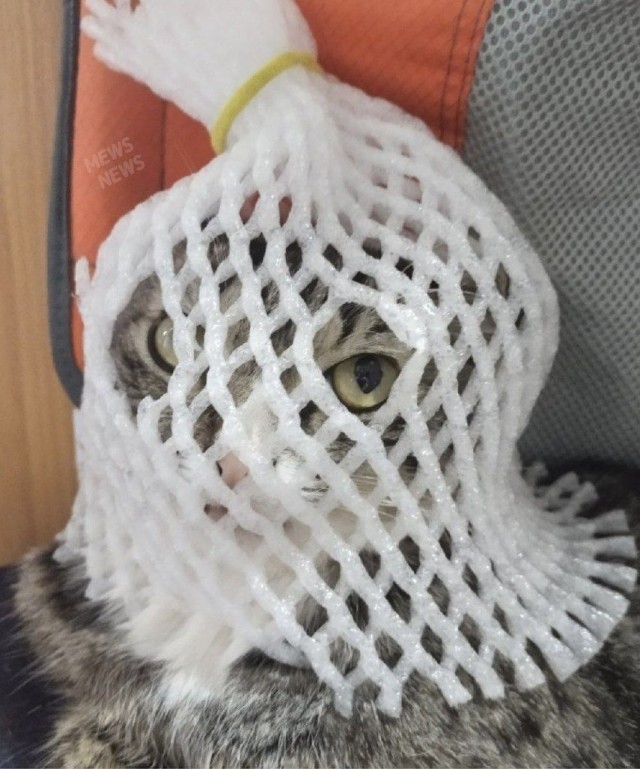 Соседка проходу не дает