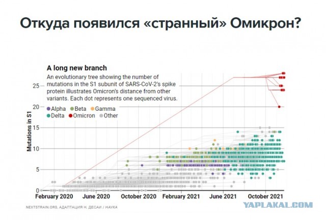 Зомби-апокалипсис 2022