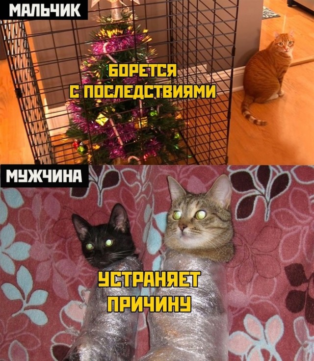 Весёлый полтишок 19.12