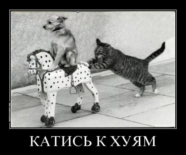 Панин удивляется, куда мир катится
