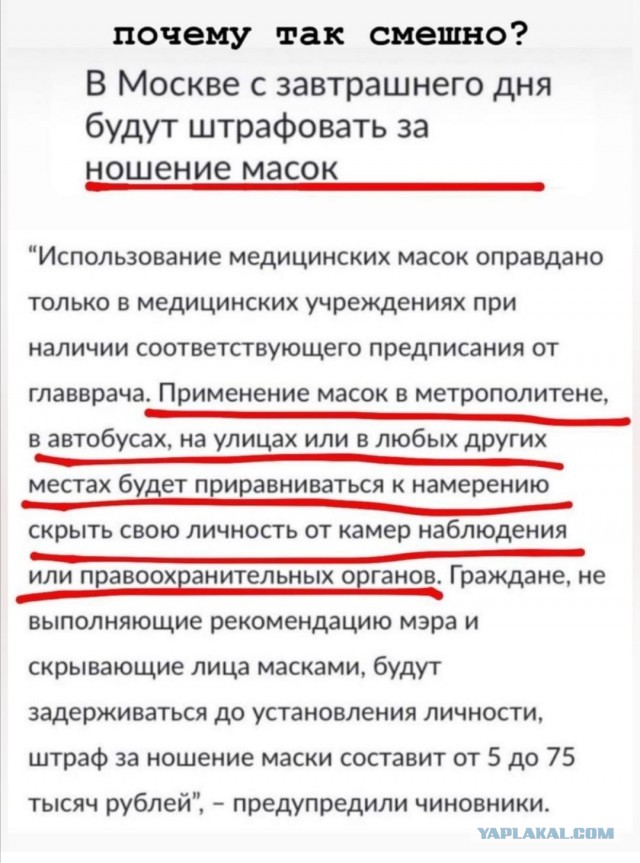 В Центре Гамалеи предрекли рост смертности населения от COVID-19 из-за неэффективности «Эпиваккороны»