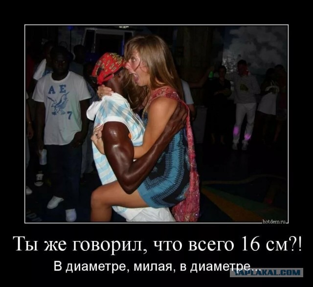 Очередной весёлый полтишок