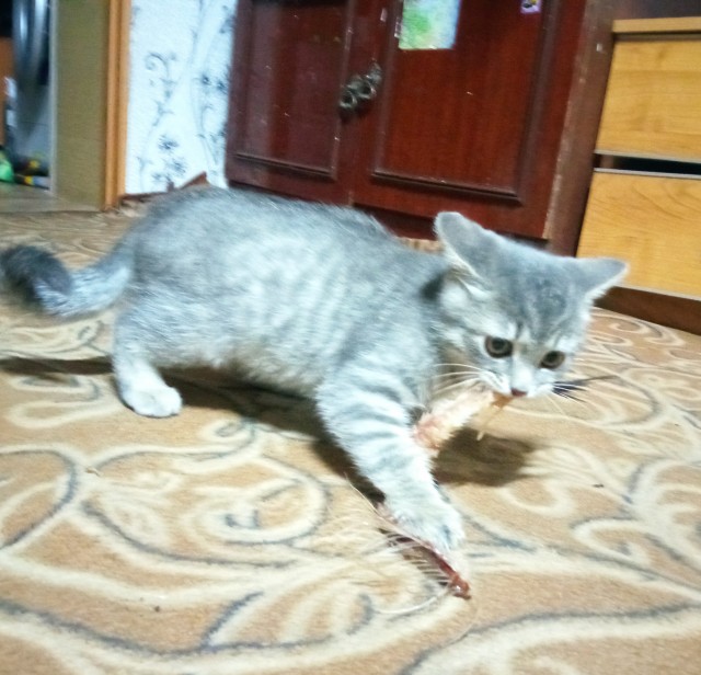 Вот как с ним бороться?