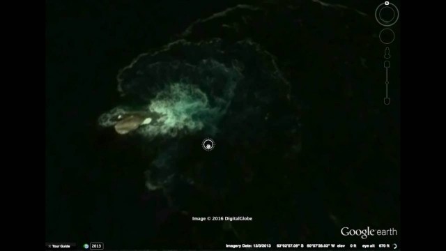 Кто кого? 45-метровый кальмар и светящиеся акулы против ВМС США