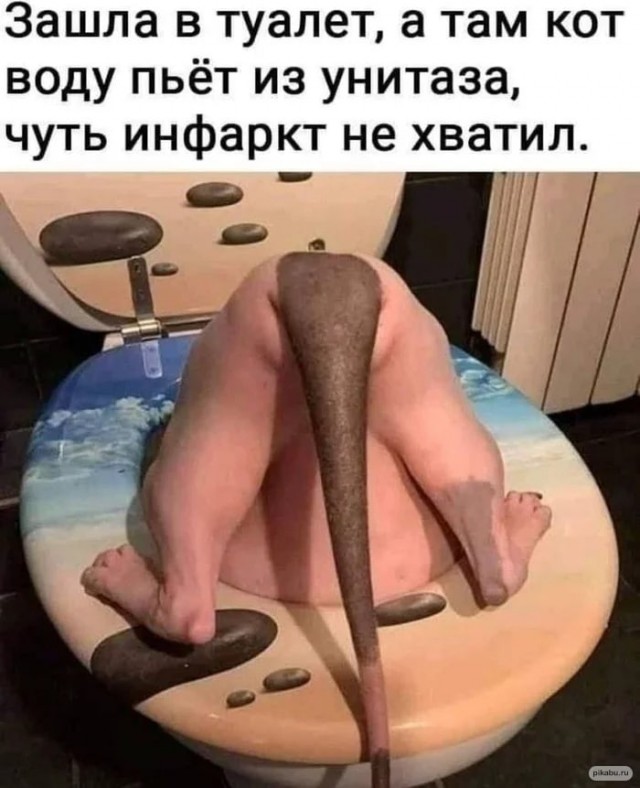 Моих ушанов вам покажу