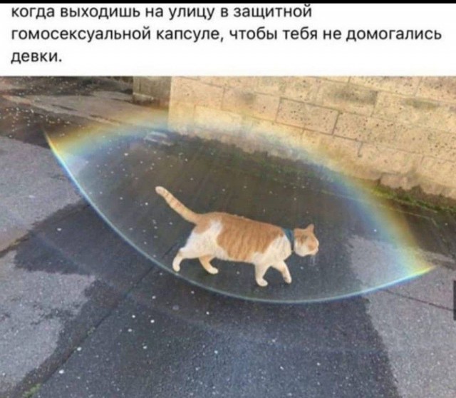 Картинки аморальные и всякие разные - 29
