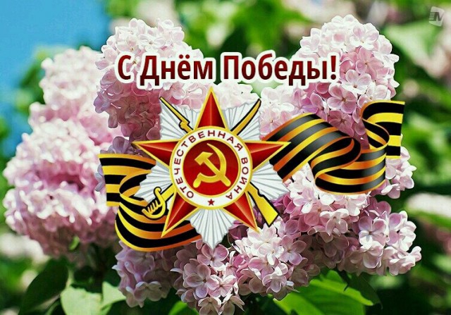 Wargaming 61