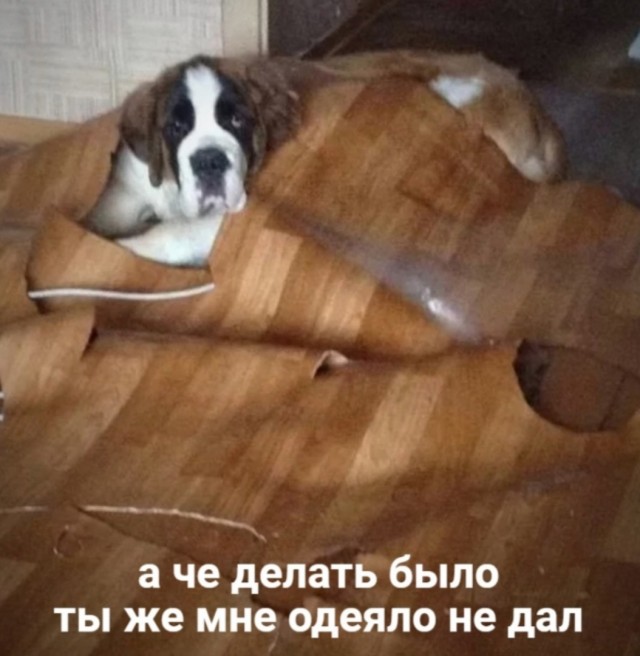 Так себе картинки 18.05.22
