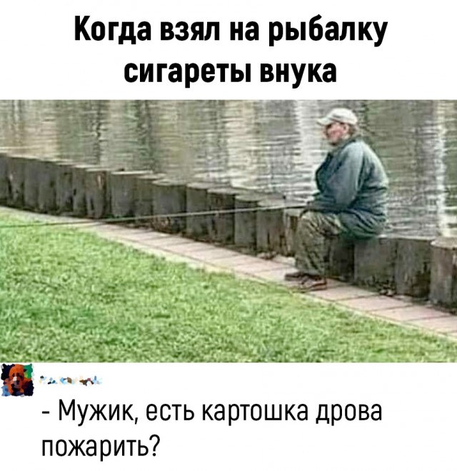 Так себе картинки 18.06.22