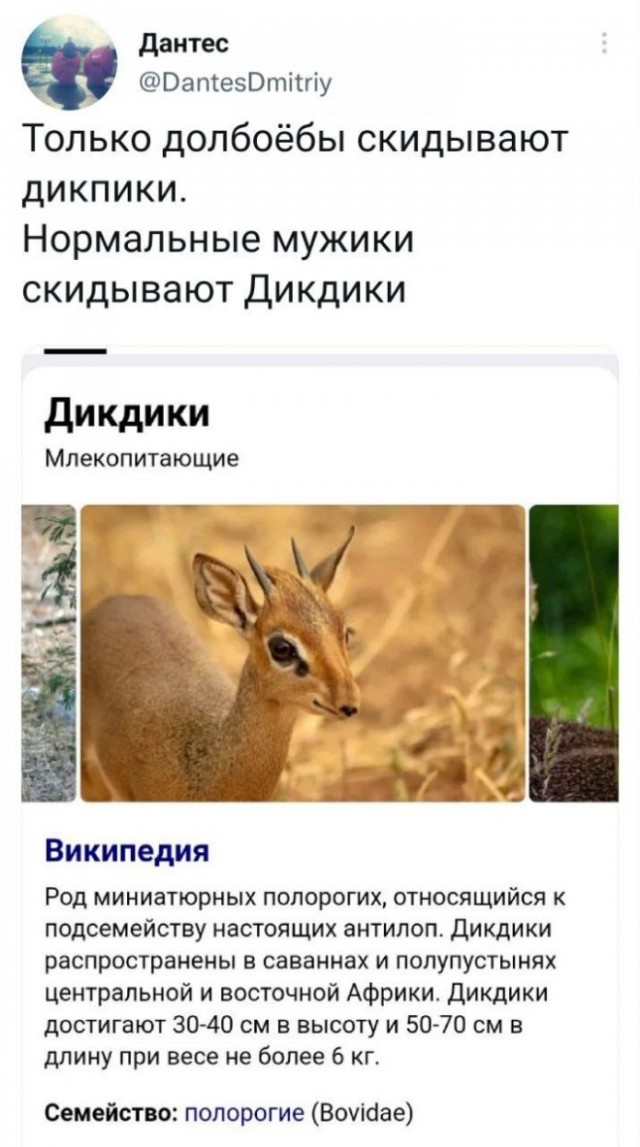 Картинки и мемы для настроения - 15