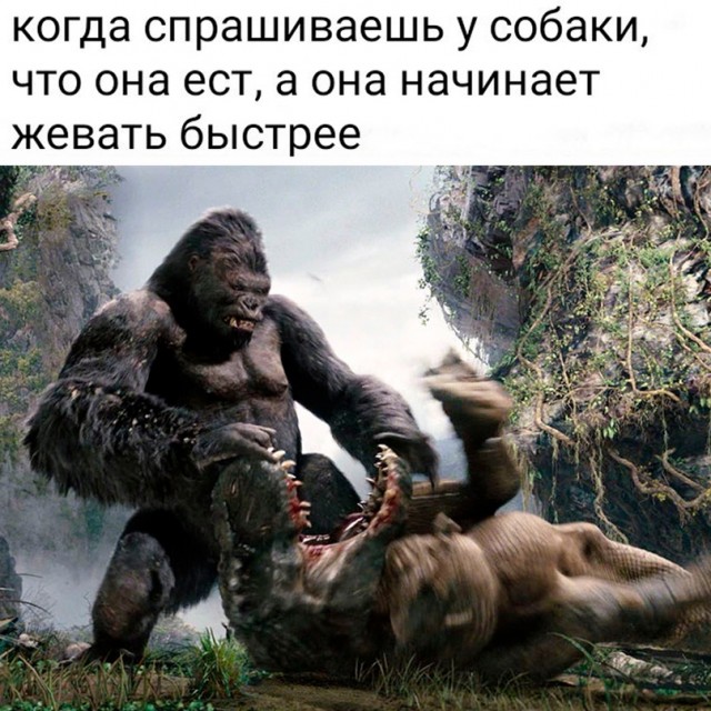 Картинки и мемы. Выходные близко, близко...