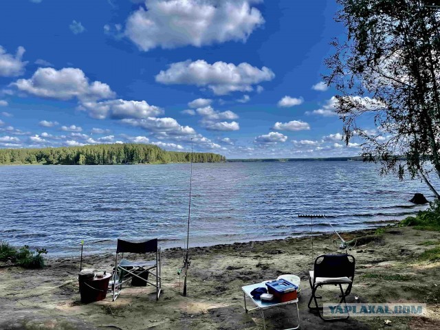 Рыбалка