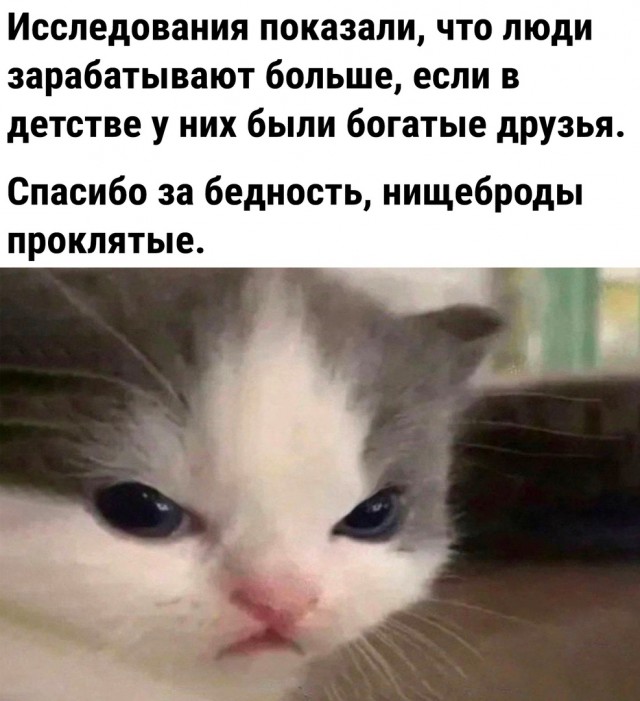 Так себе картинки 05.10.22