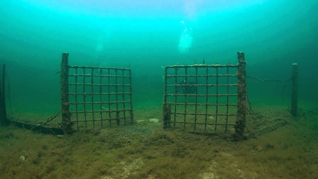 Кошмар субмеханофоба: 30 жутких фото затопленных объектов