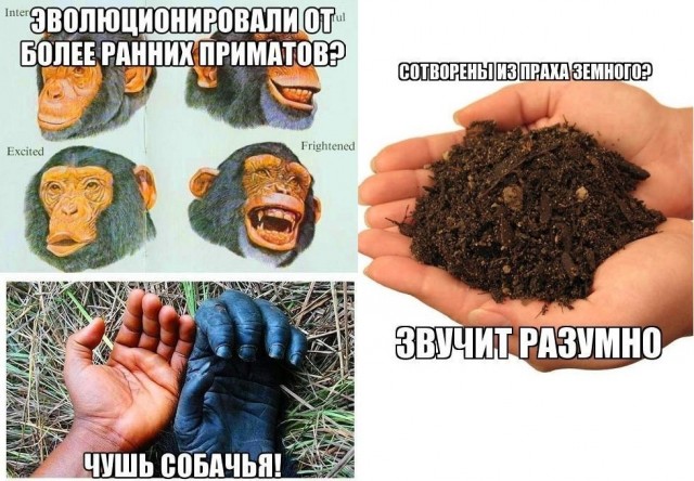 Антидарвинисты: Эволюция не наука!