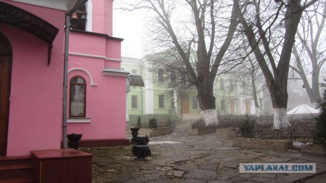 Крым в феврале или "Не стреляйте в белых лебедей!"