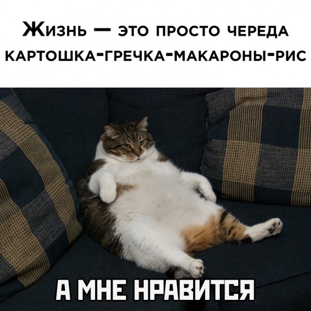 Прикольные и просто красивые картинки 14.07.2023