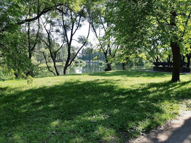 Женщина умерла во время полового акта в московском сквере