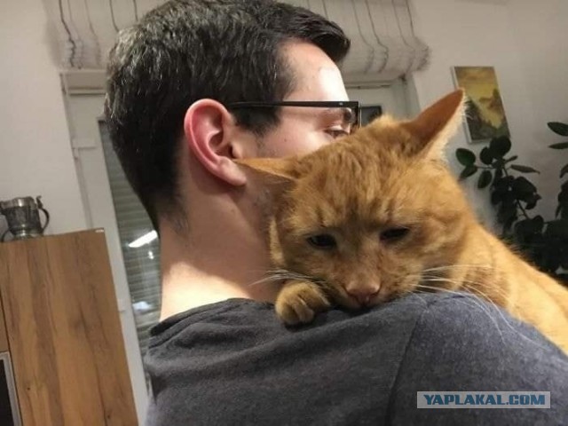 «Встречался сразу с двумя за день»: истории женщин, которые примирились с изменами мужа, — почему такое вообще происходит