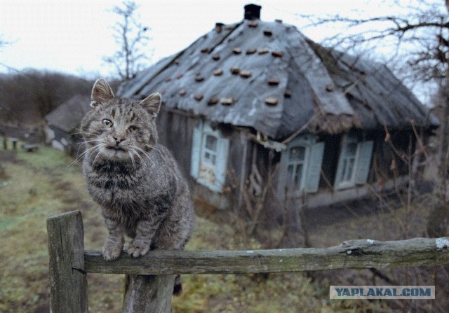 Ты только приезжай. Хоть иногда...