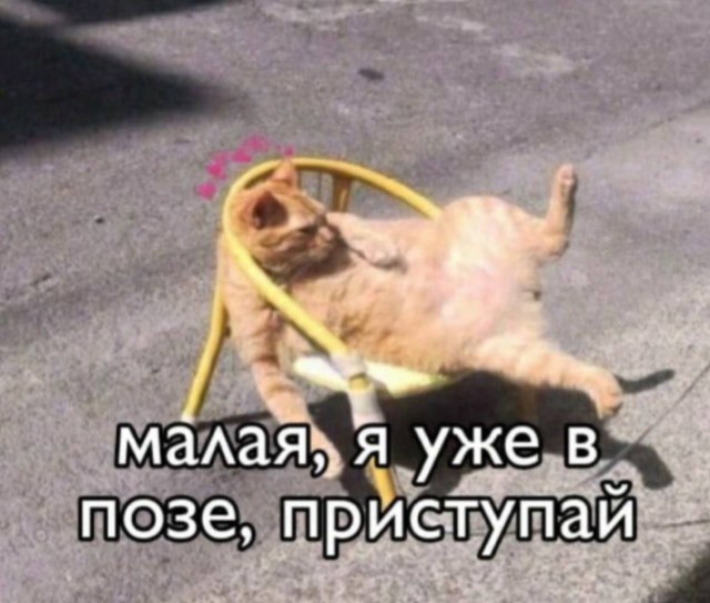 Немного пошлых картинок 29.09.23
