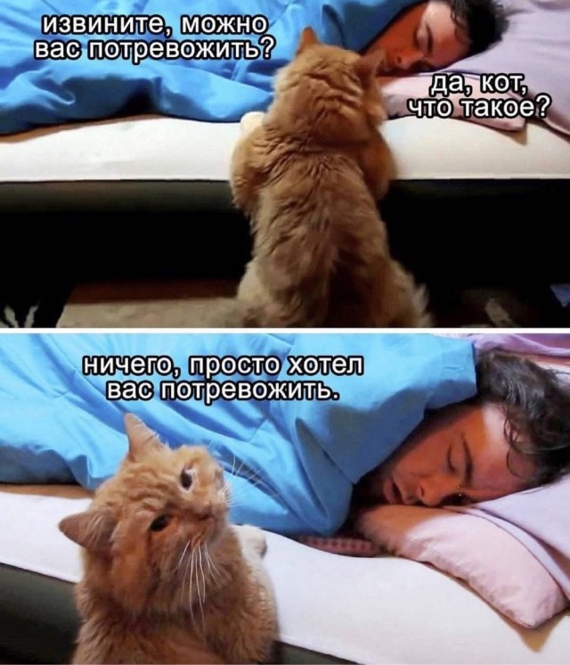 Отряд быстрого деградирования