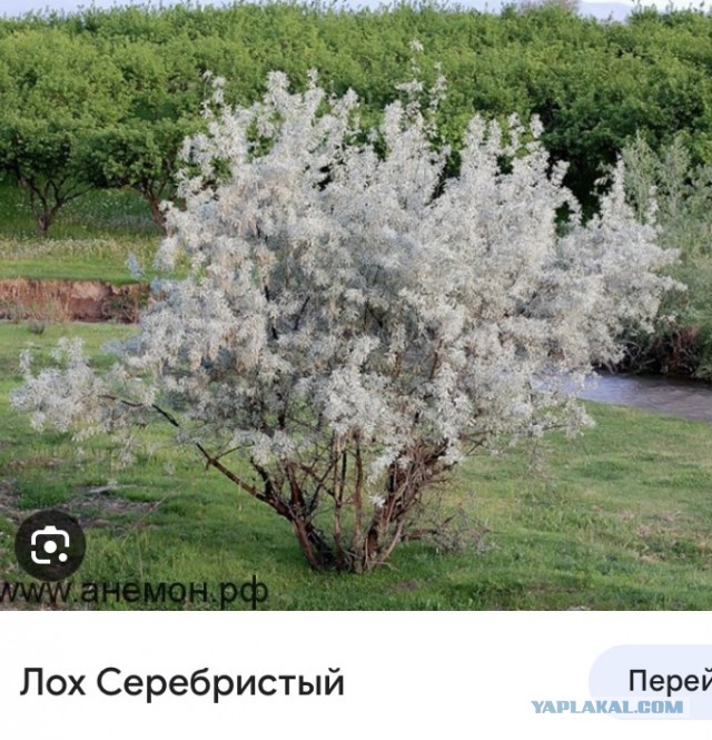 Как разрушить и спасти две семьи за три месяца