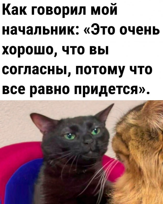 Завалялось тут случайно немного забавных картинок