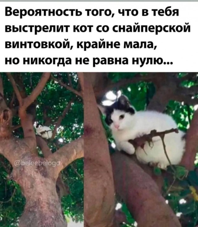 Так себе картинки 12.05.24