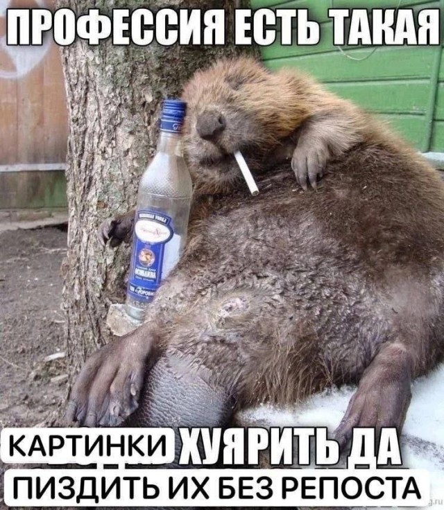Завалялось тут случайно немного забавных картинок