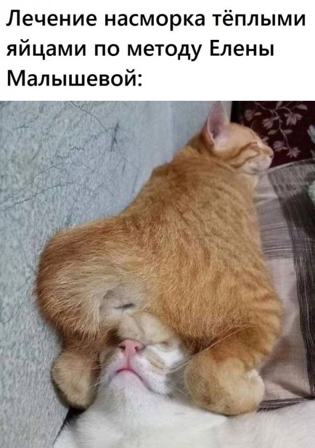 Завалялось тут случайно немного забавных картинок