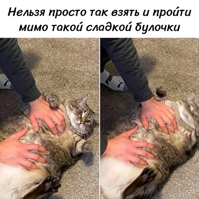 Так себе картинки 24.10.24