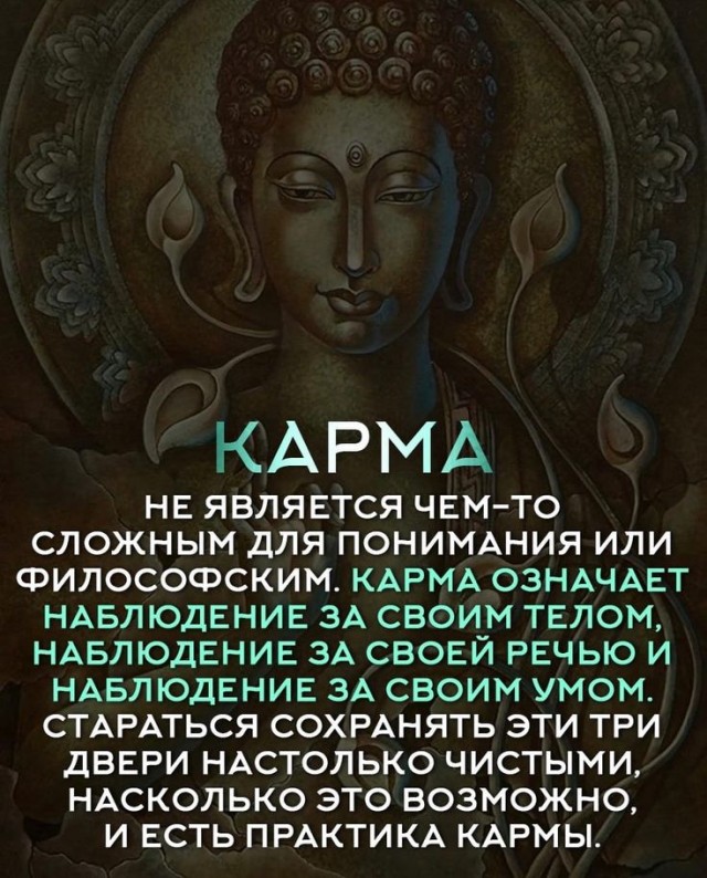 Прикольные и просто красивые картинки 20.12.2024
