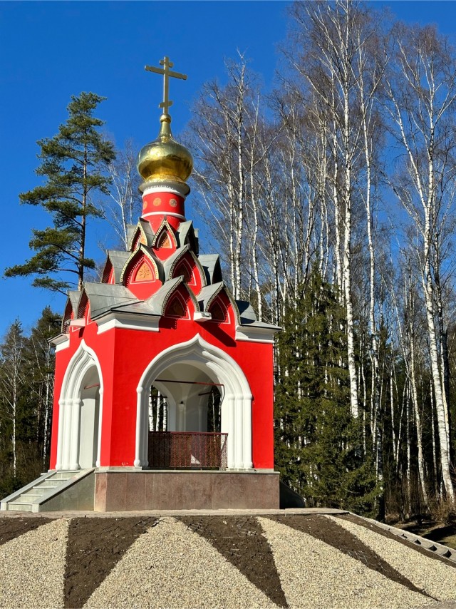 Красивое фото из телефона