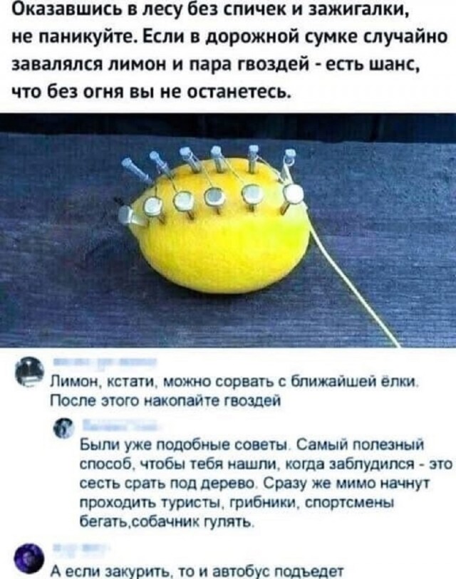 Так себе картинки 15.03.25