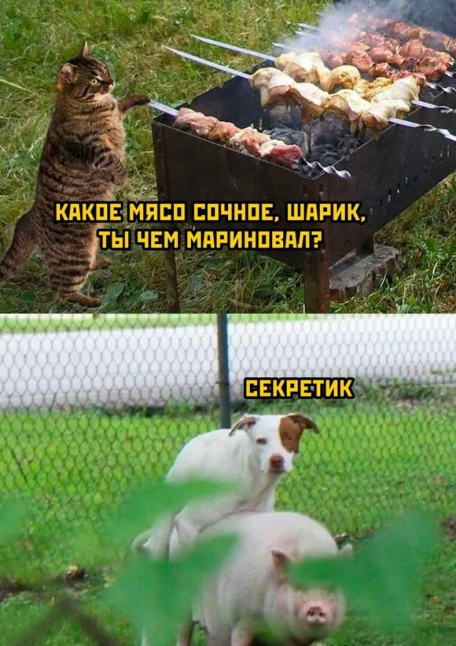 Так себе картинки 28.03.25