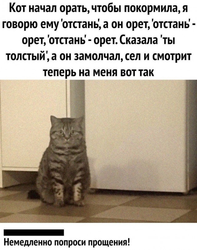Так себе картинки 29.04.25